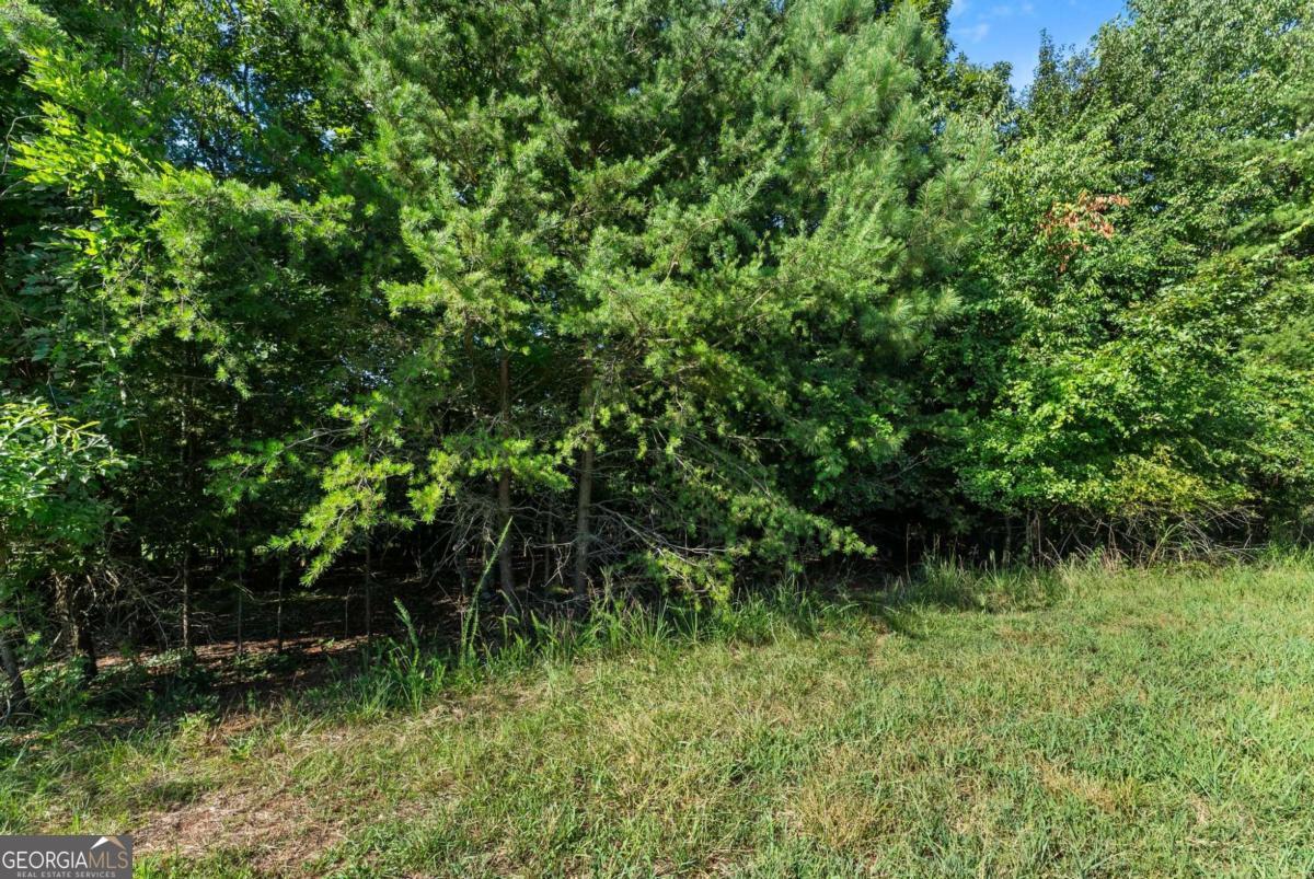 2768 Dawsonville Highway Property Photo 5