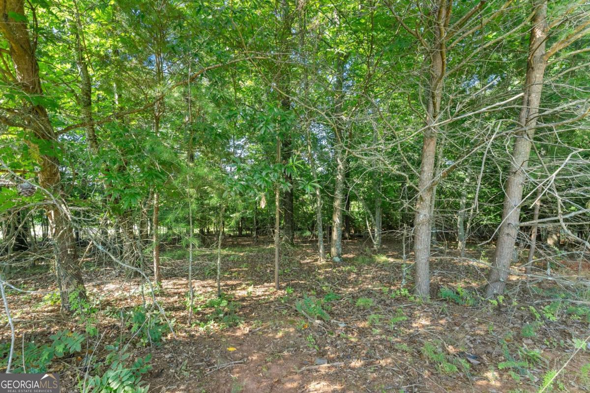 2768 Dawsonville Highway Property Photo 6