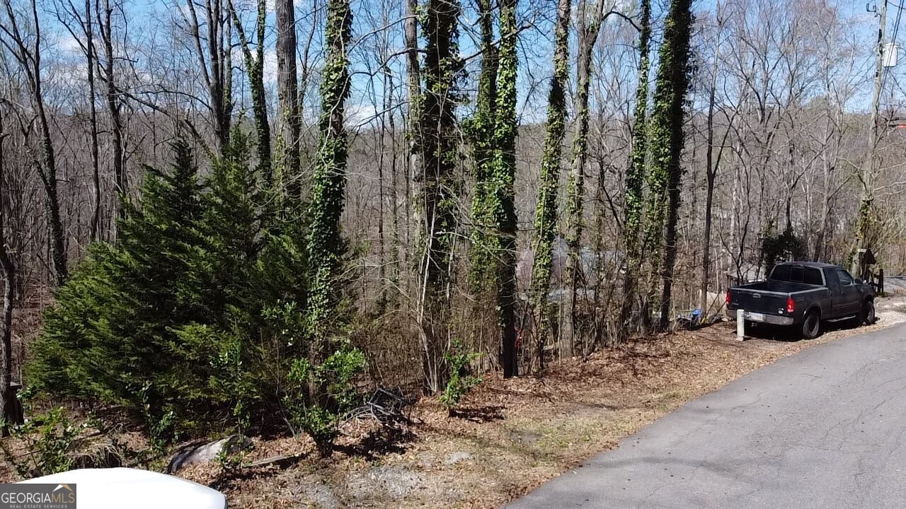 0 Thunder Trail Property Photo 5