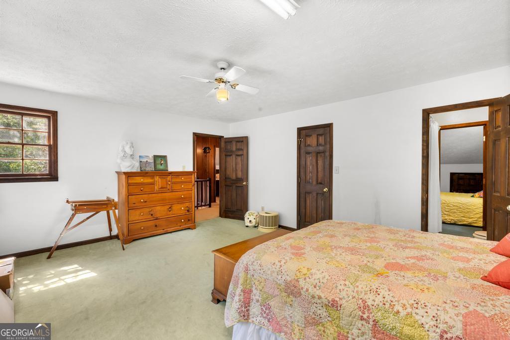 151 Evans Road Property Photo 38