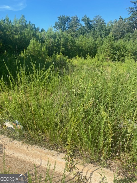0 Se Northlake Drive Property Photo 7