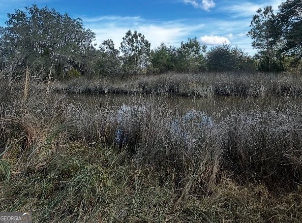 0 Mallard Pond Road Property Photo 1