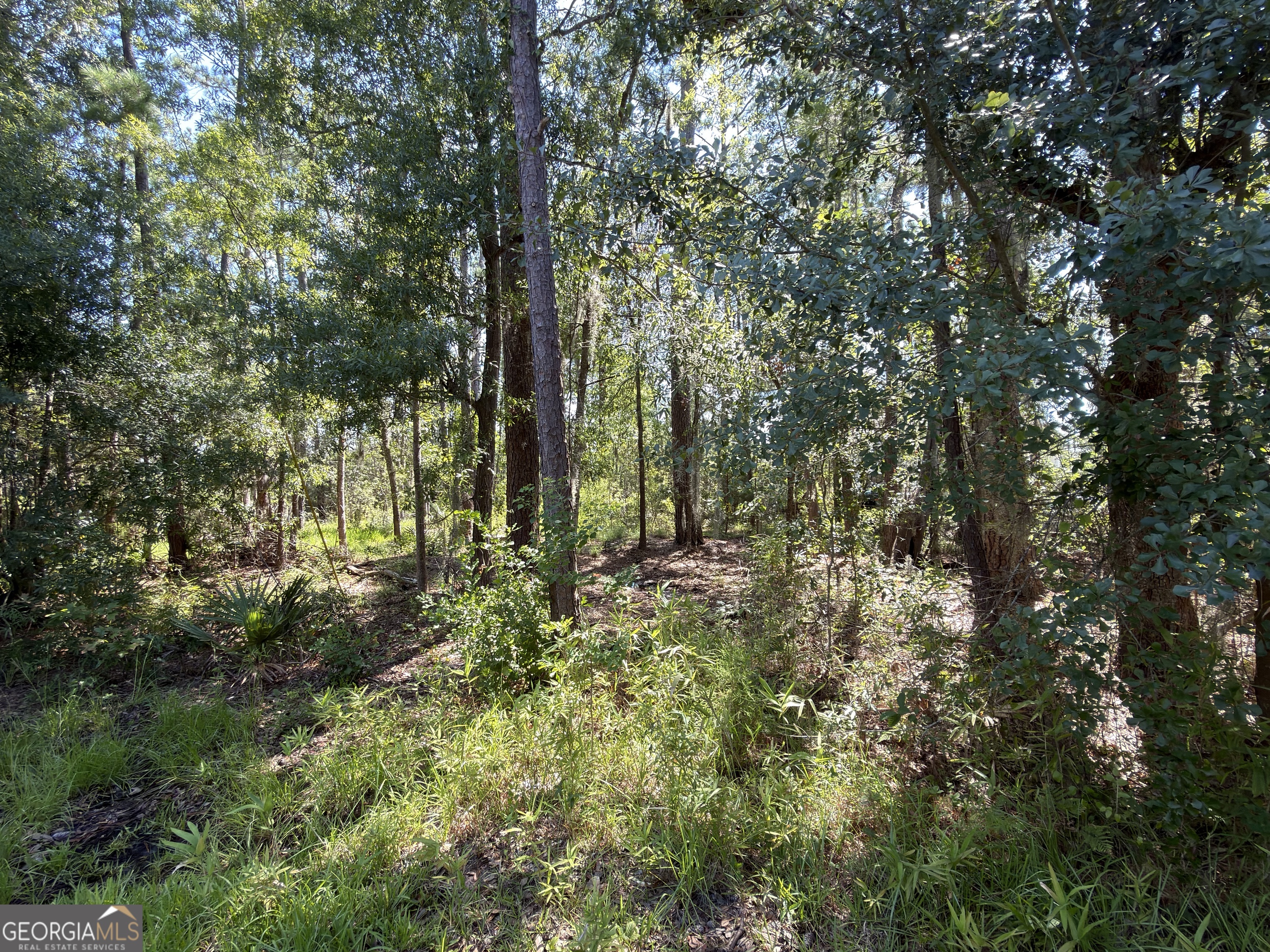 0 Mallard Pond Road Property Photo 2