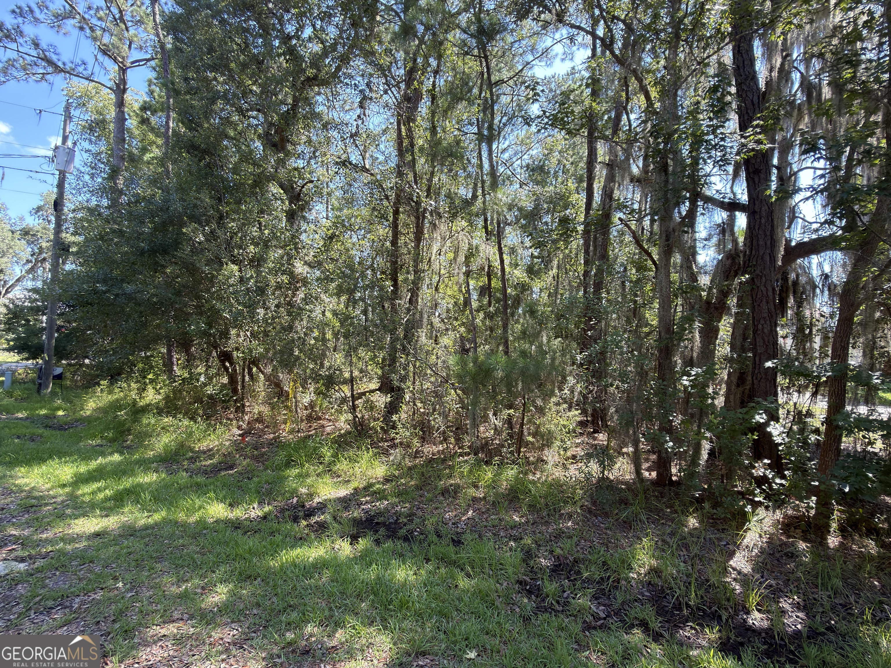 0 Mallard Pond Road Property Photo 4