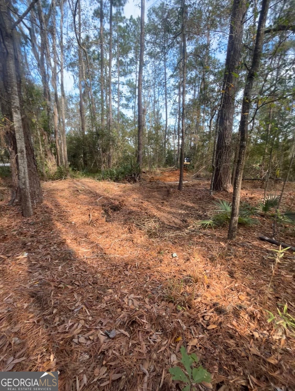 0 Mallard Pond Road Property Photo 5