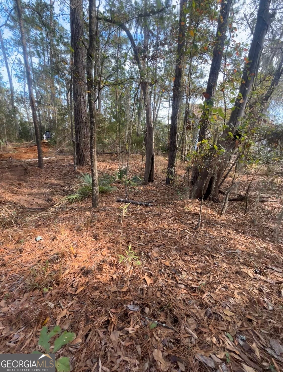 0 Mallard Pond Road Property Photo 6