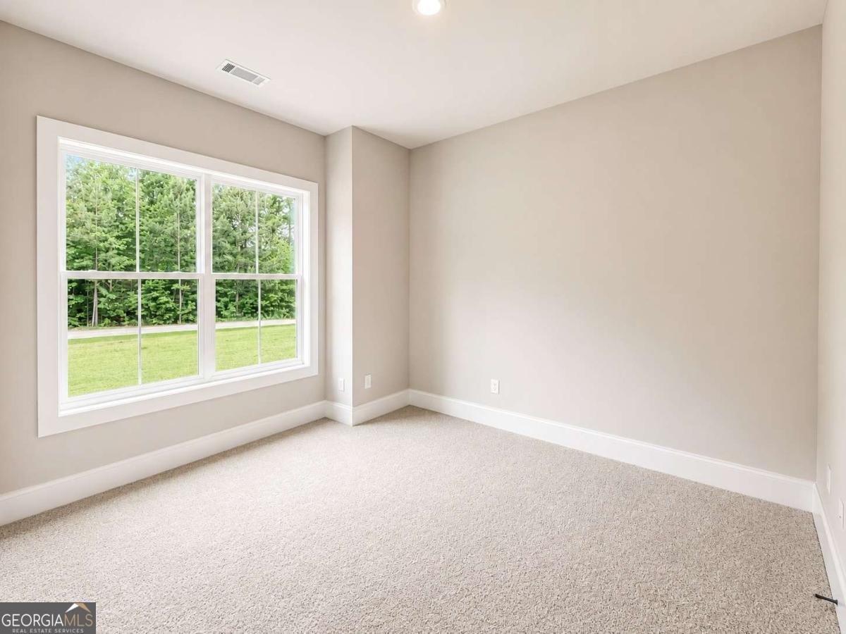 91 Lenten Rose Lane Property Photo 29