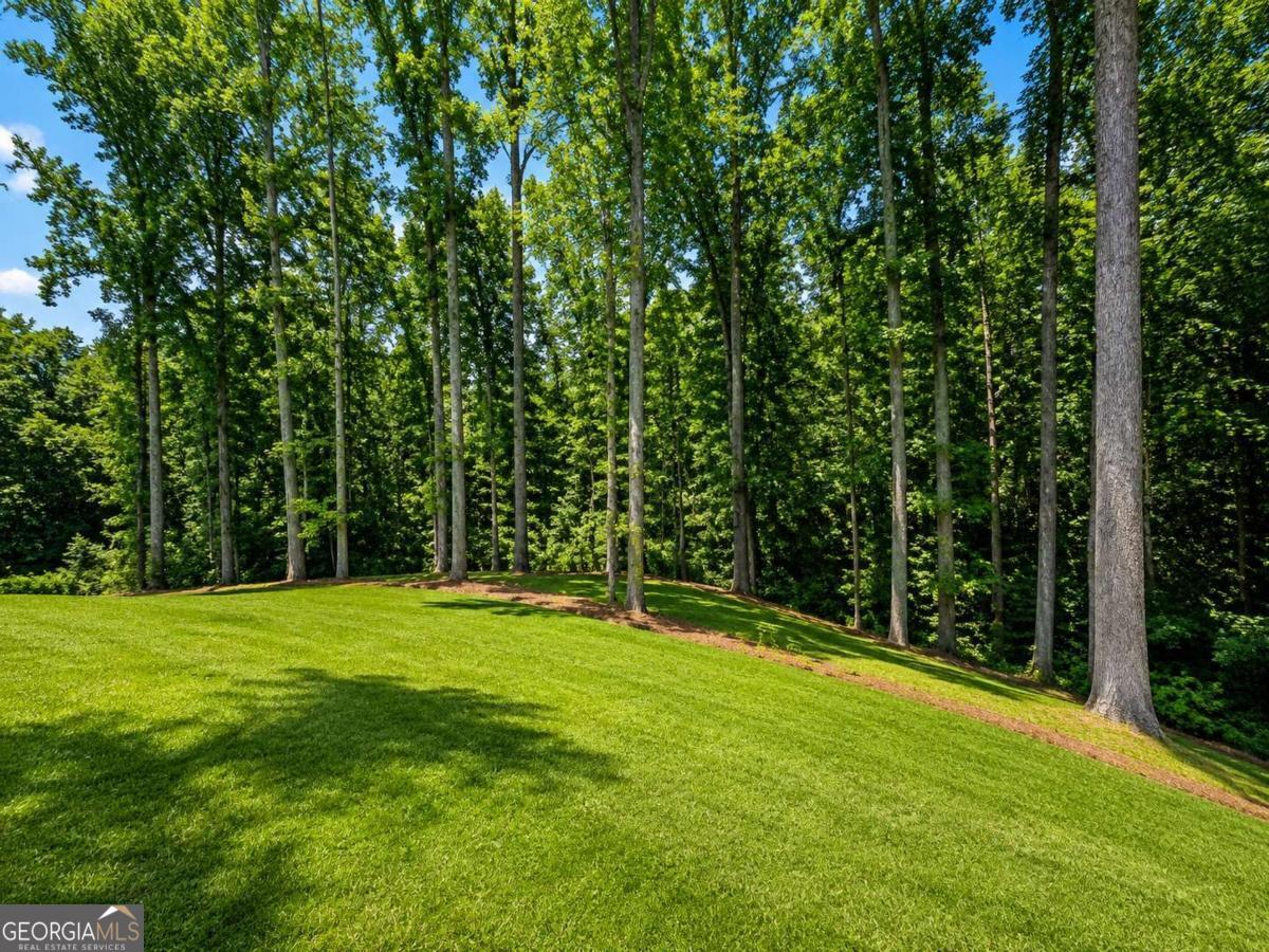 91 Lenten Rose Lane Property Photo 47