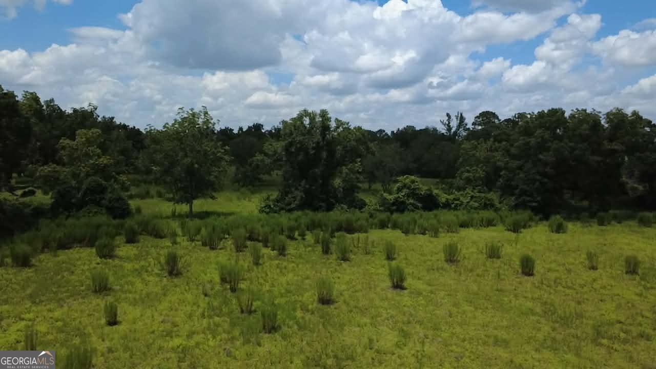 0 Albany Avenue Property Photo 4