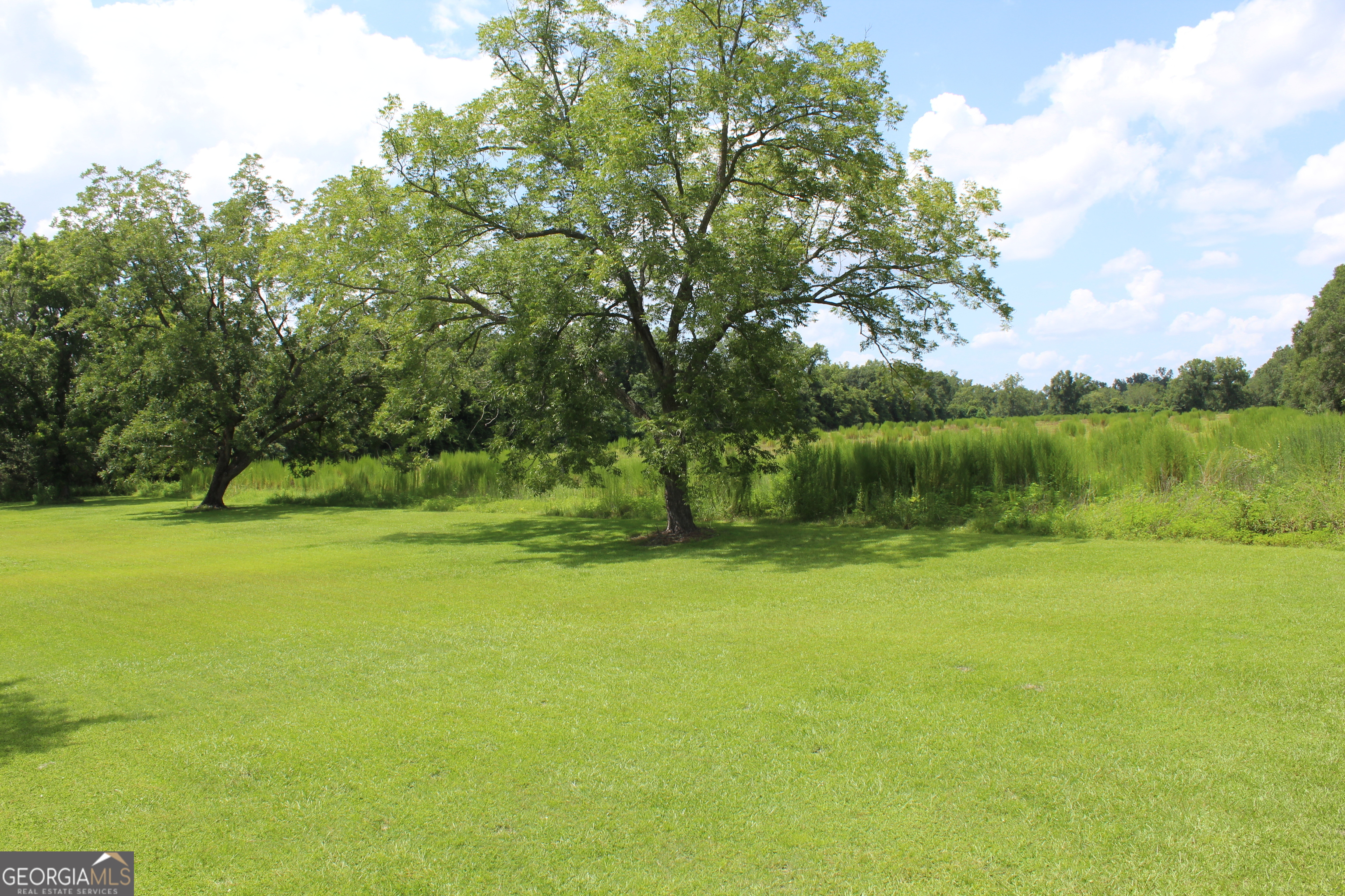 0 Albany Avenue Property Photo 26