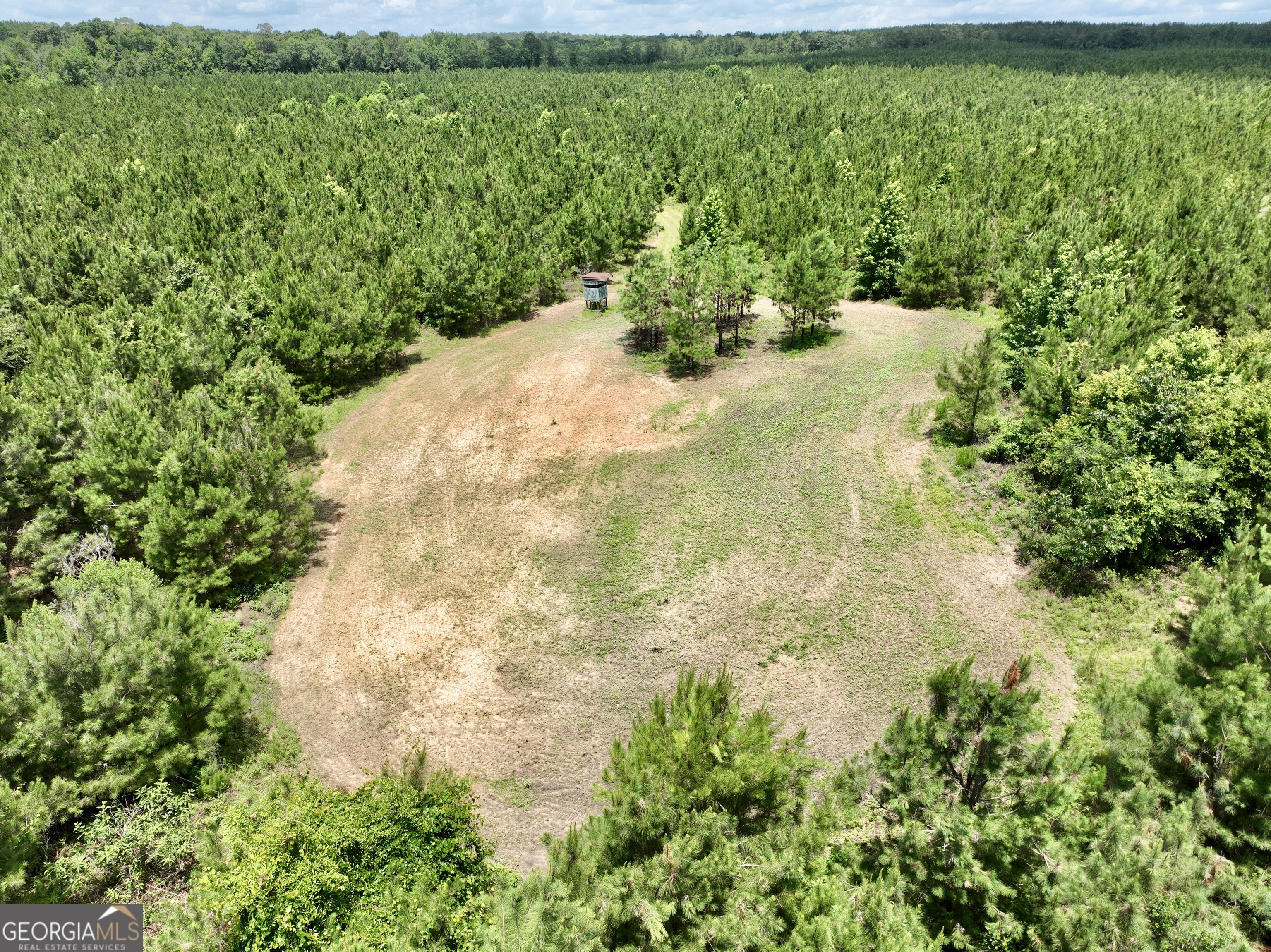 0 Everett Wood Road Property Photo 1