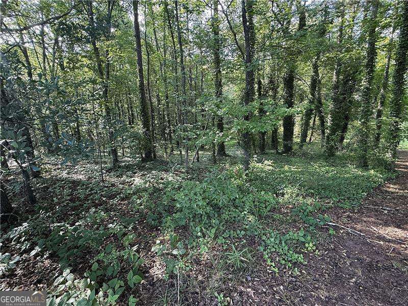 0 Boxer Lane Property Photo 1