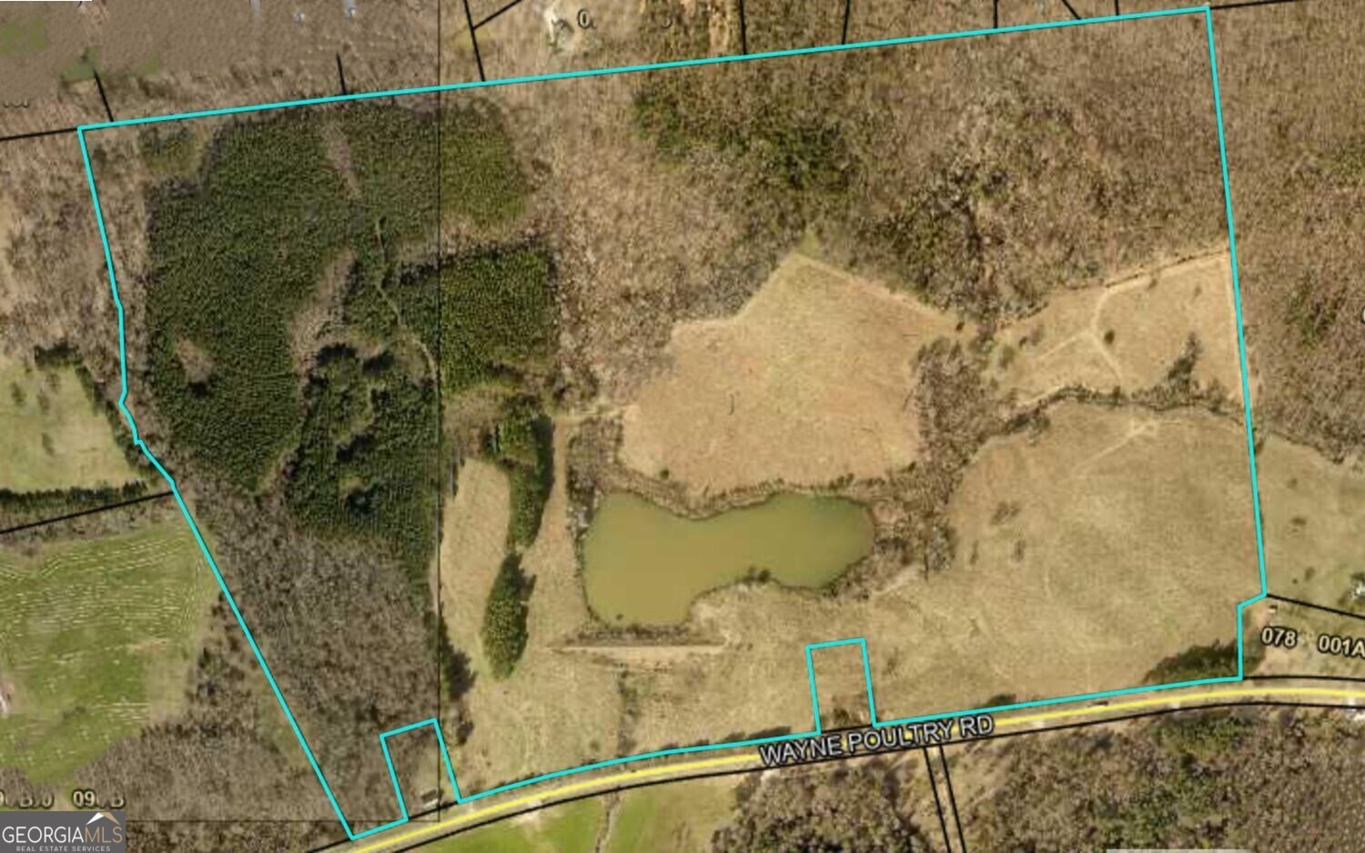 Tract 2 Wayne Poultry Road Property Photo 2