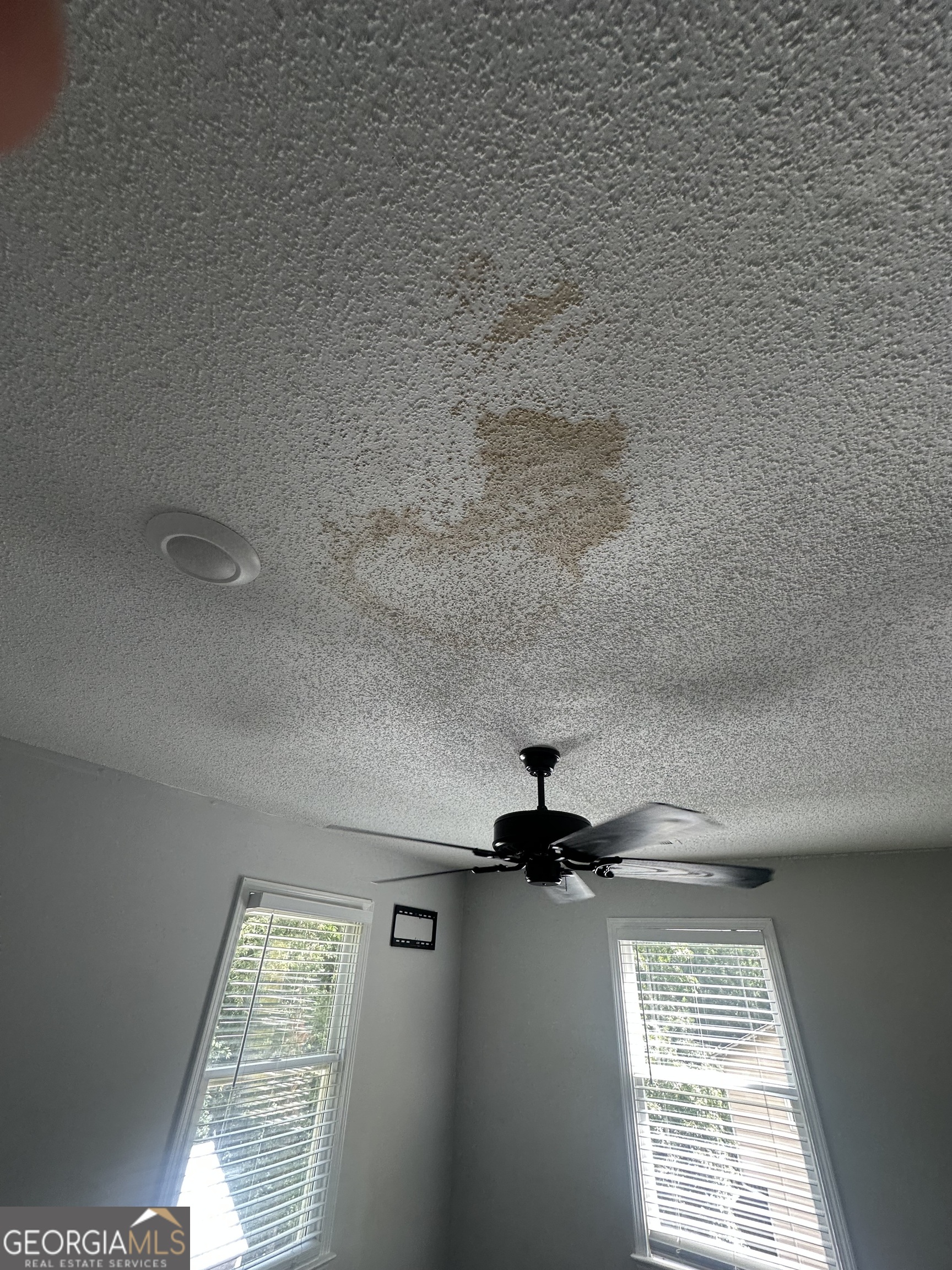 261 Kelley Lane Property Photo 17