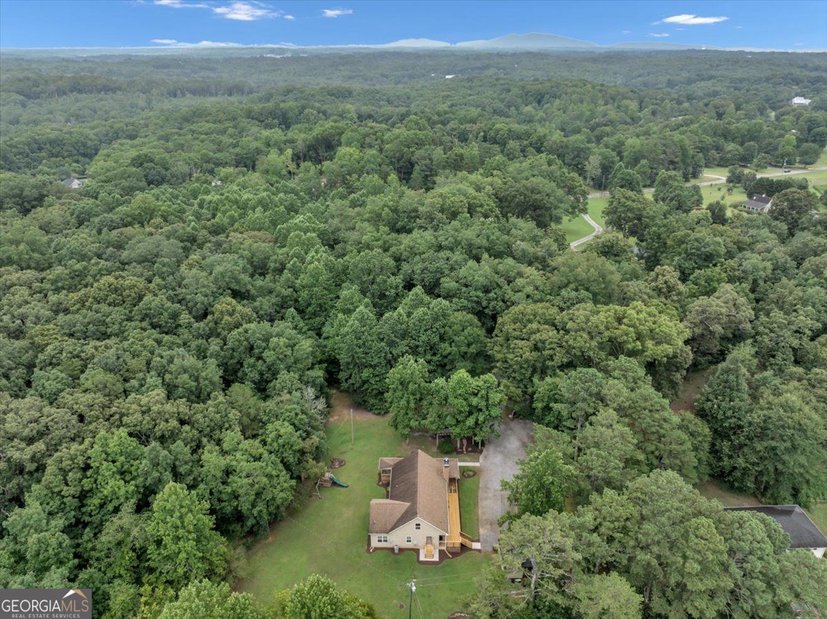 517 Franklin Goldmine Road Property Photo 34