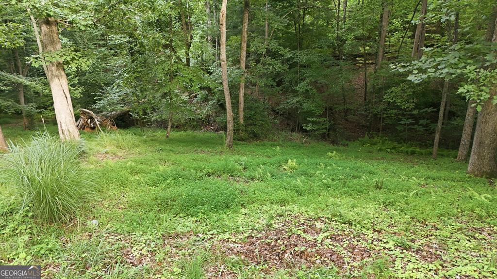 161 Arbor Way Property Photo 22