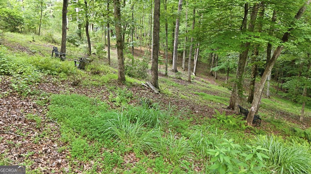 161 Arbor Way Property Photo 49