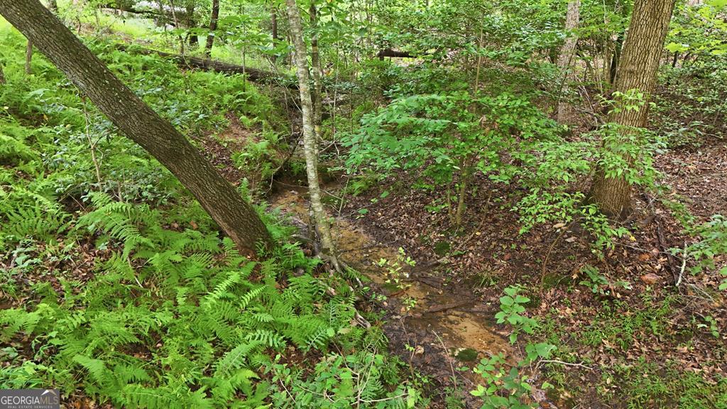 161 Arbor Way Property Photo 52