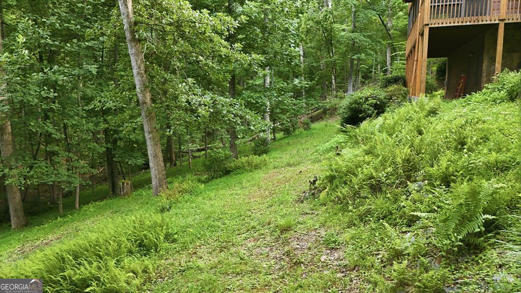 161 Arbor Way Property Photo 63