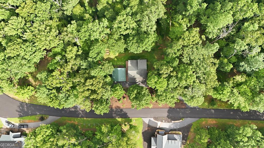 161 Arbor Way Property Photo 66