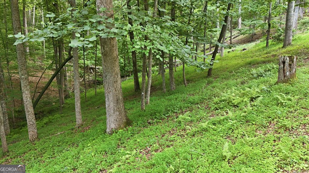 161 Arbor Way Property Photo 69