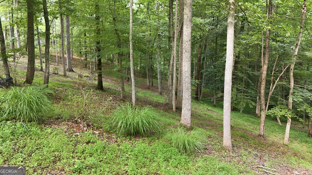 161 Arbor Way Property Photo 73
