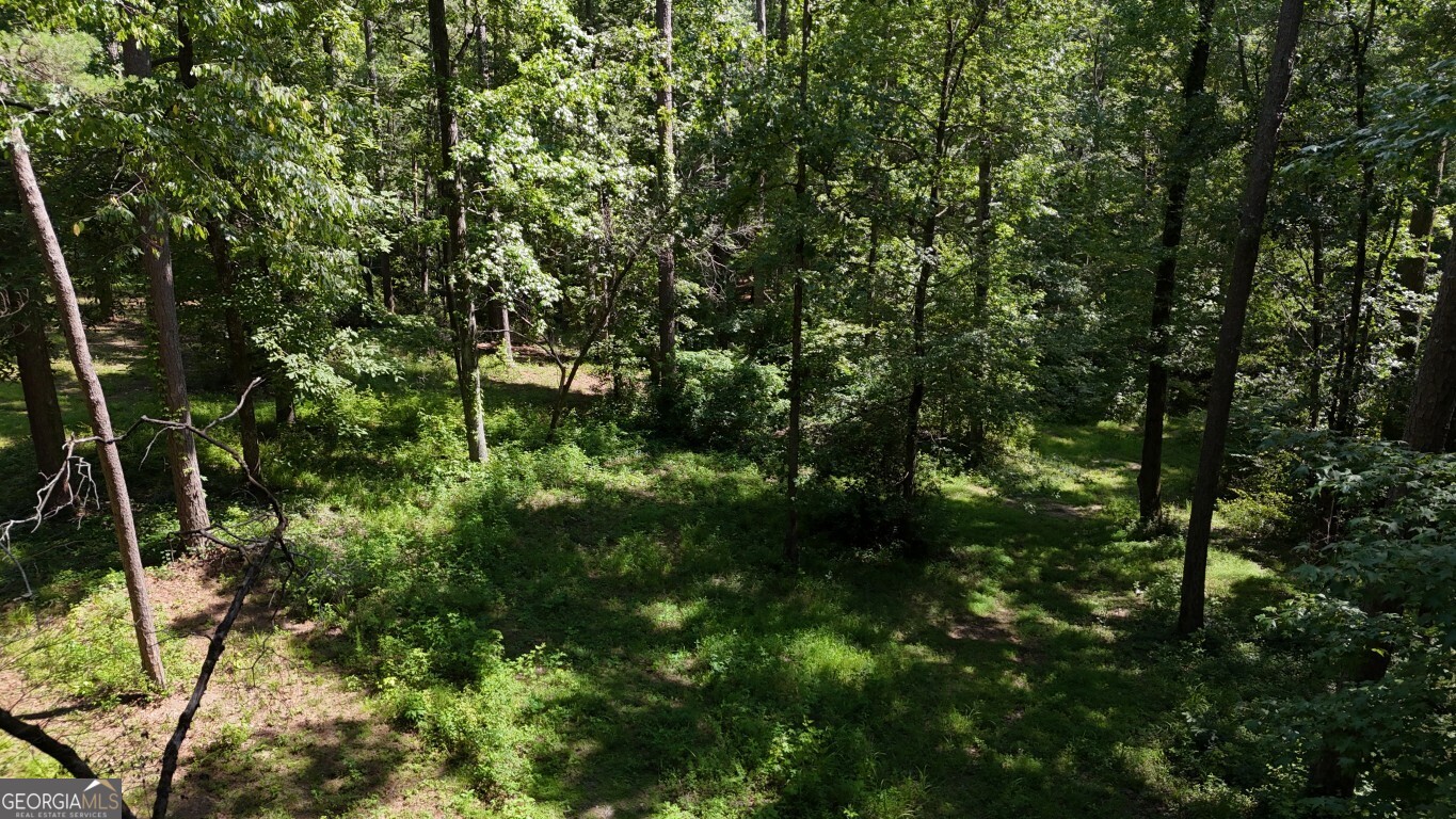115-LOT 101/ PA Shoal Creek Drive Property Photo 1