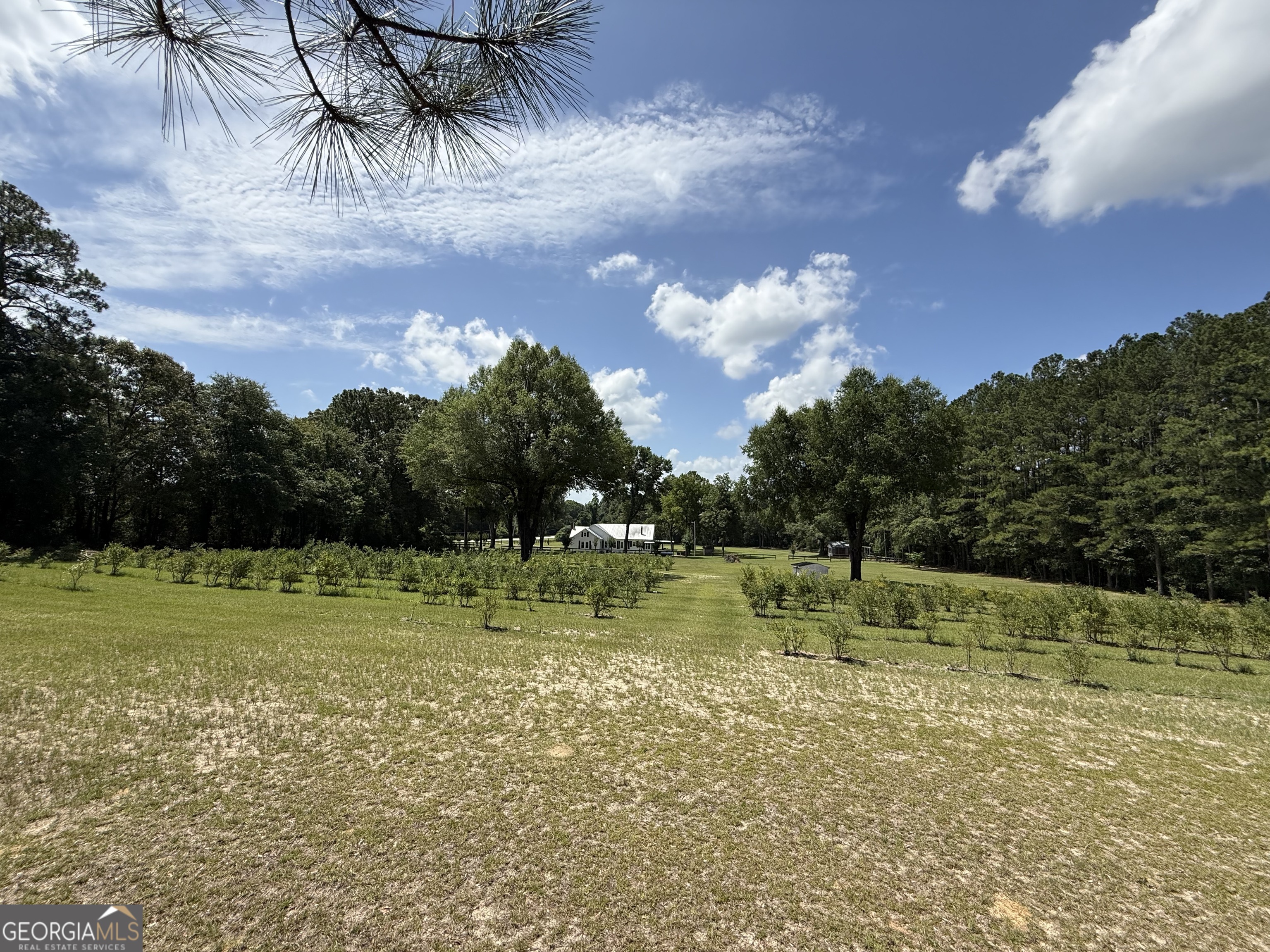 1693 Burtons Ferry Highway Property Photo 18