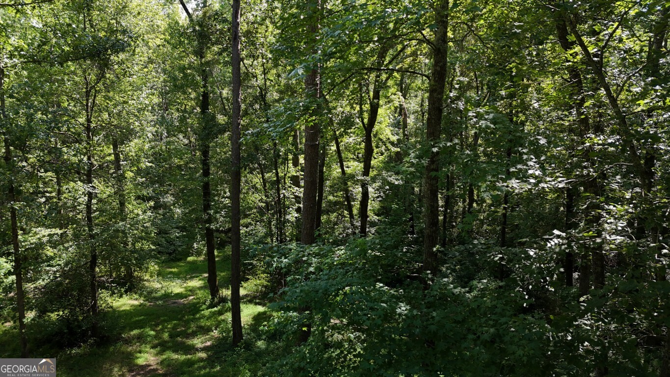115-lot 101/ Pa Shoal Creek Drive Property Photo 2
