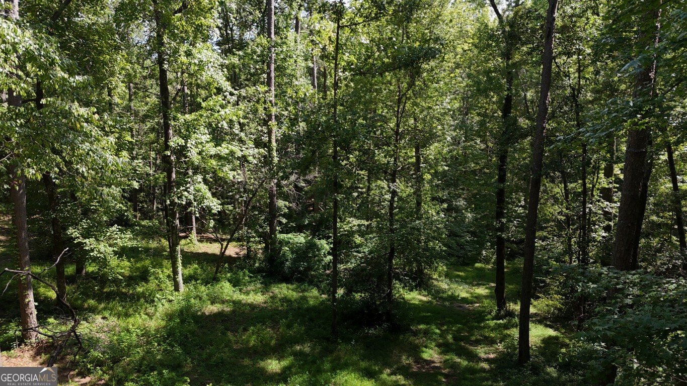 115-lot 101/ Pa Shoal Creek Drive Property Photo 3