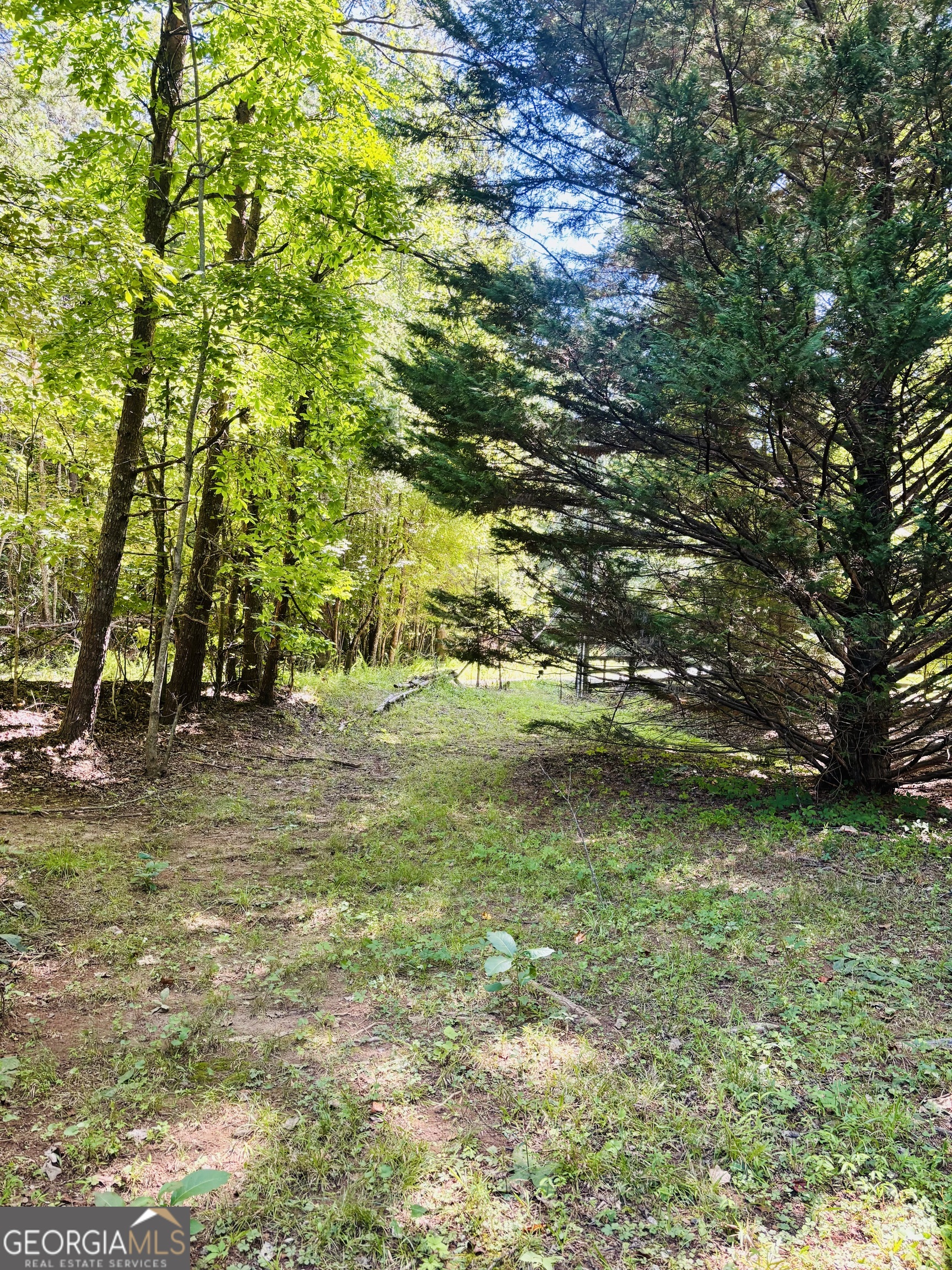 95 Hill Crest Court Property Photo 18