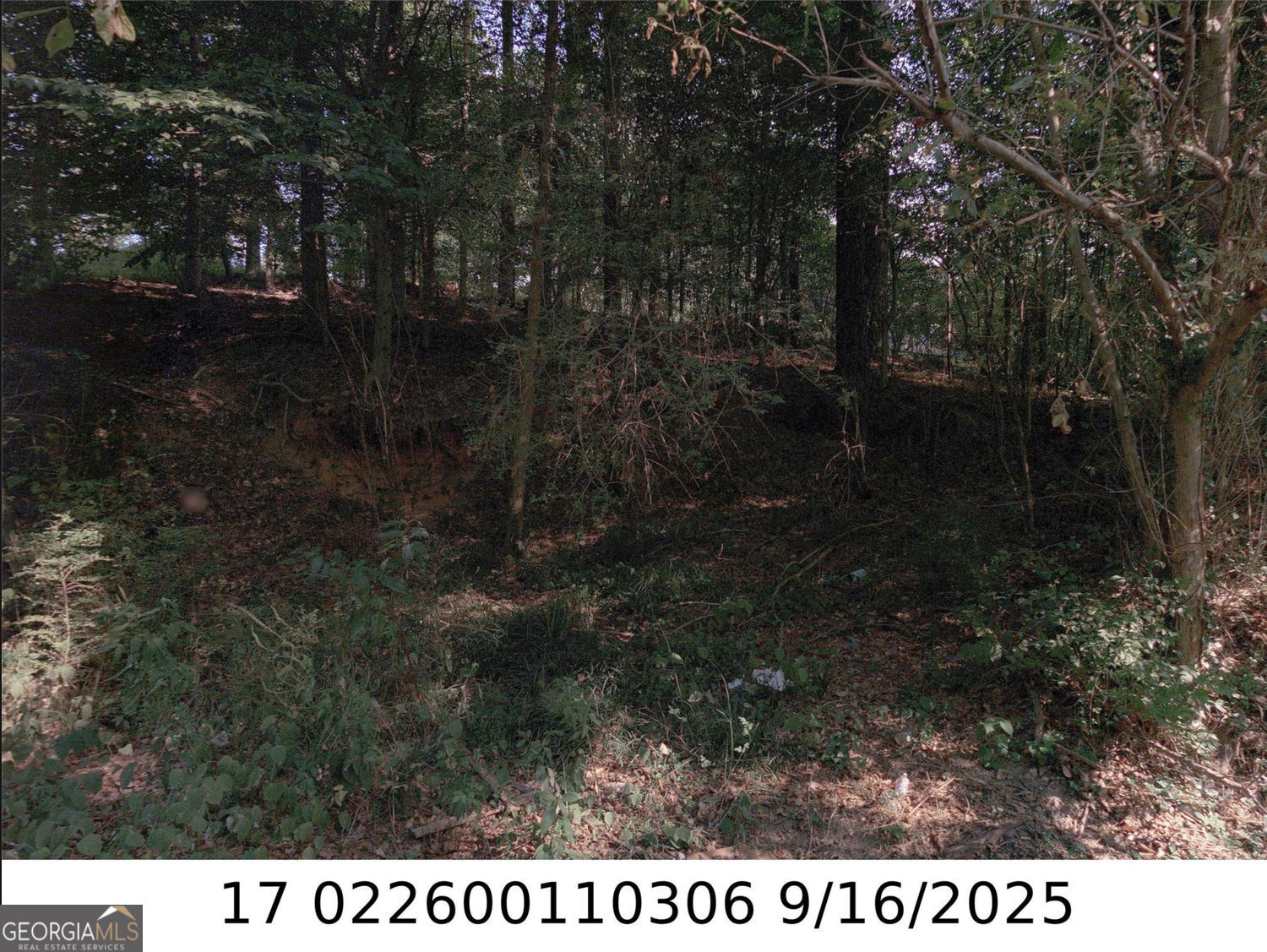 0 Newman Place Property Photo 2