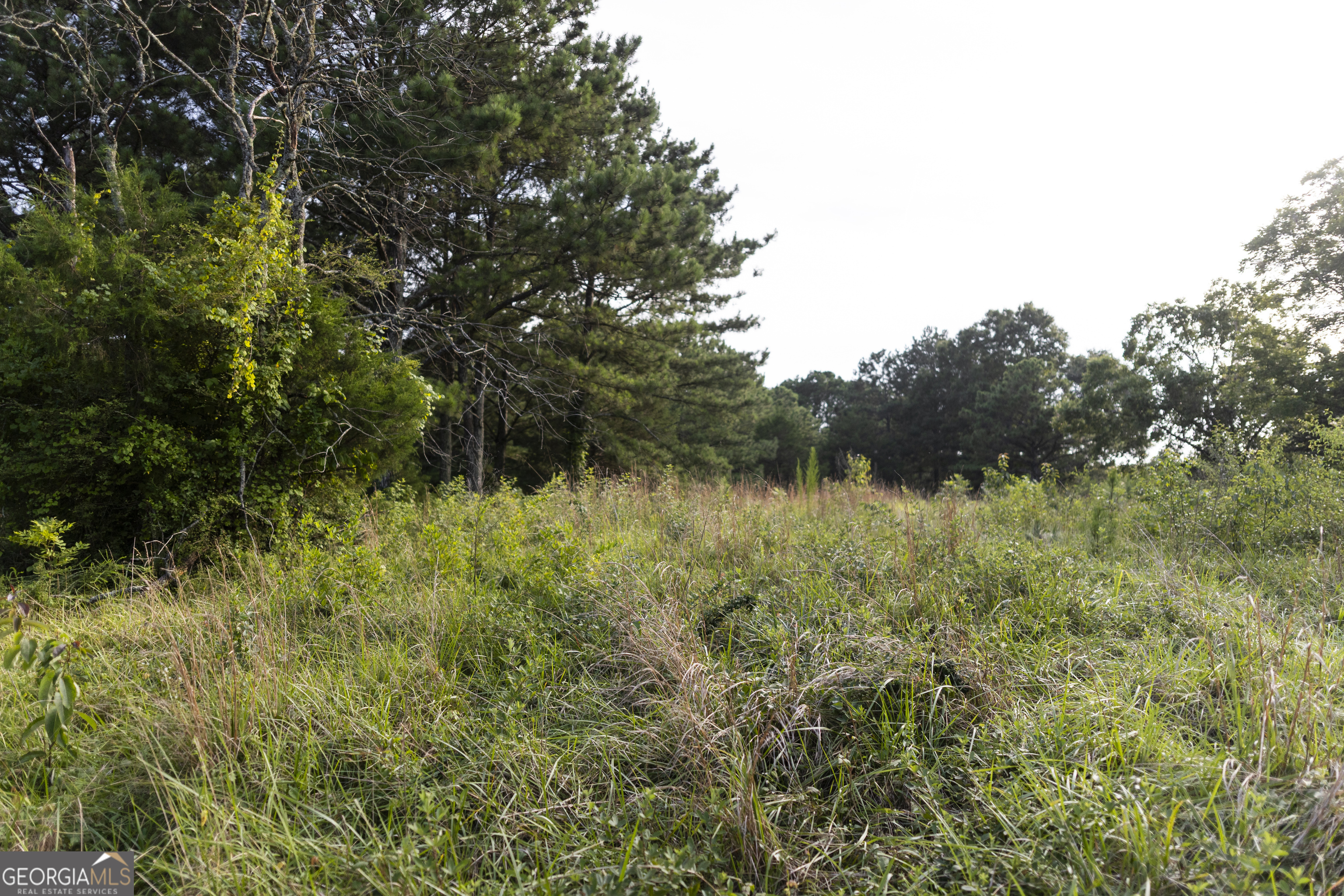 1870 Double Springs Church Road Property Photo 4