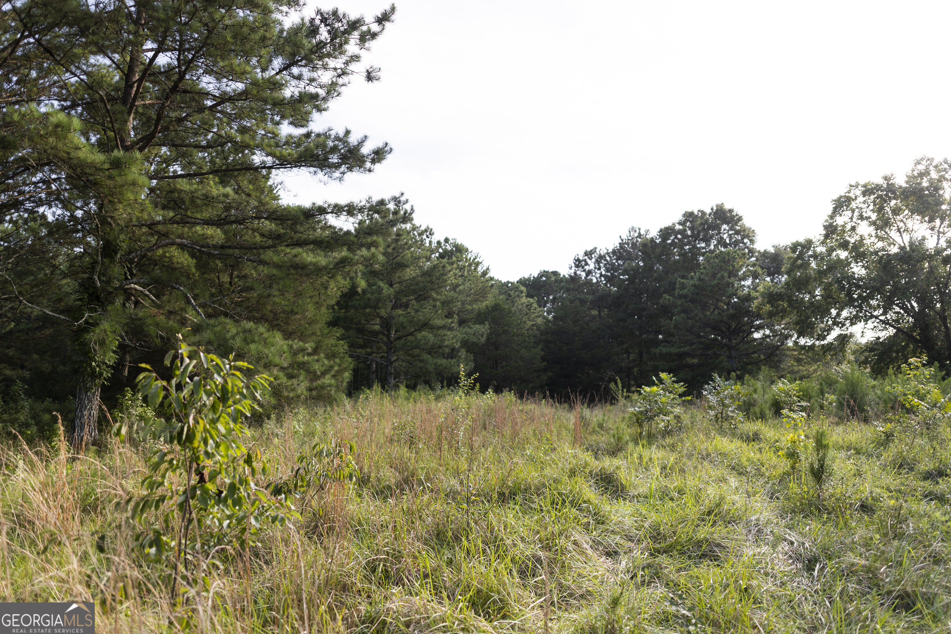 1870 Double Springs Church Road Property Photo 5