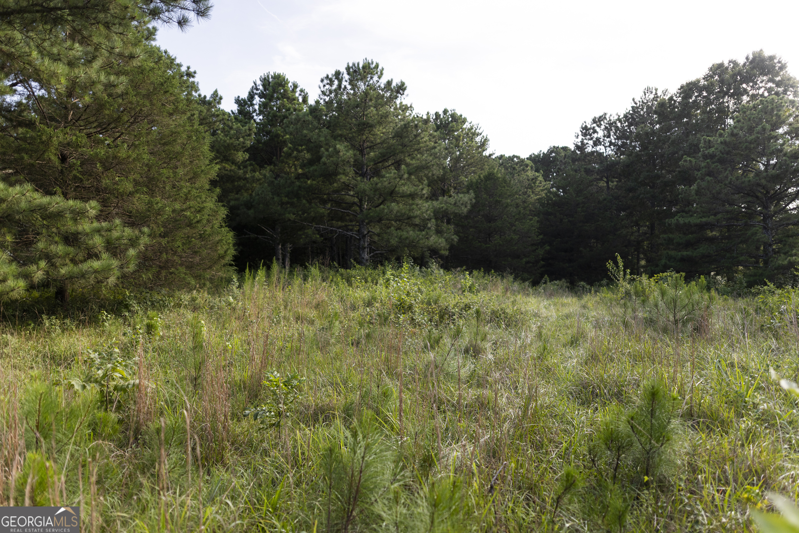 1870 Double Springs Church Road Property Photo 6