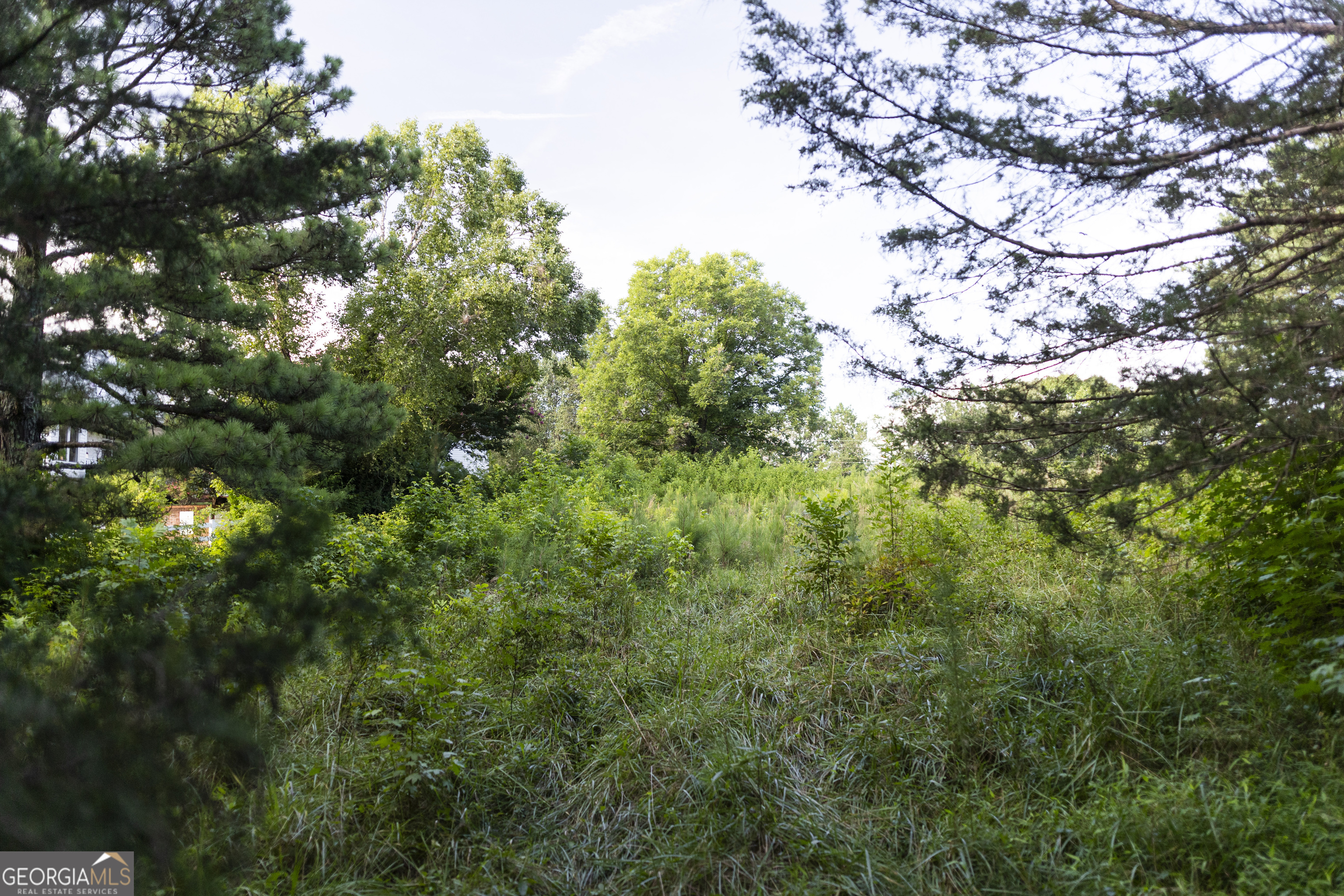 1870 Double Springs Church Road Property Photo 10