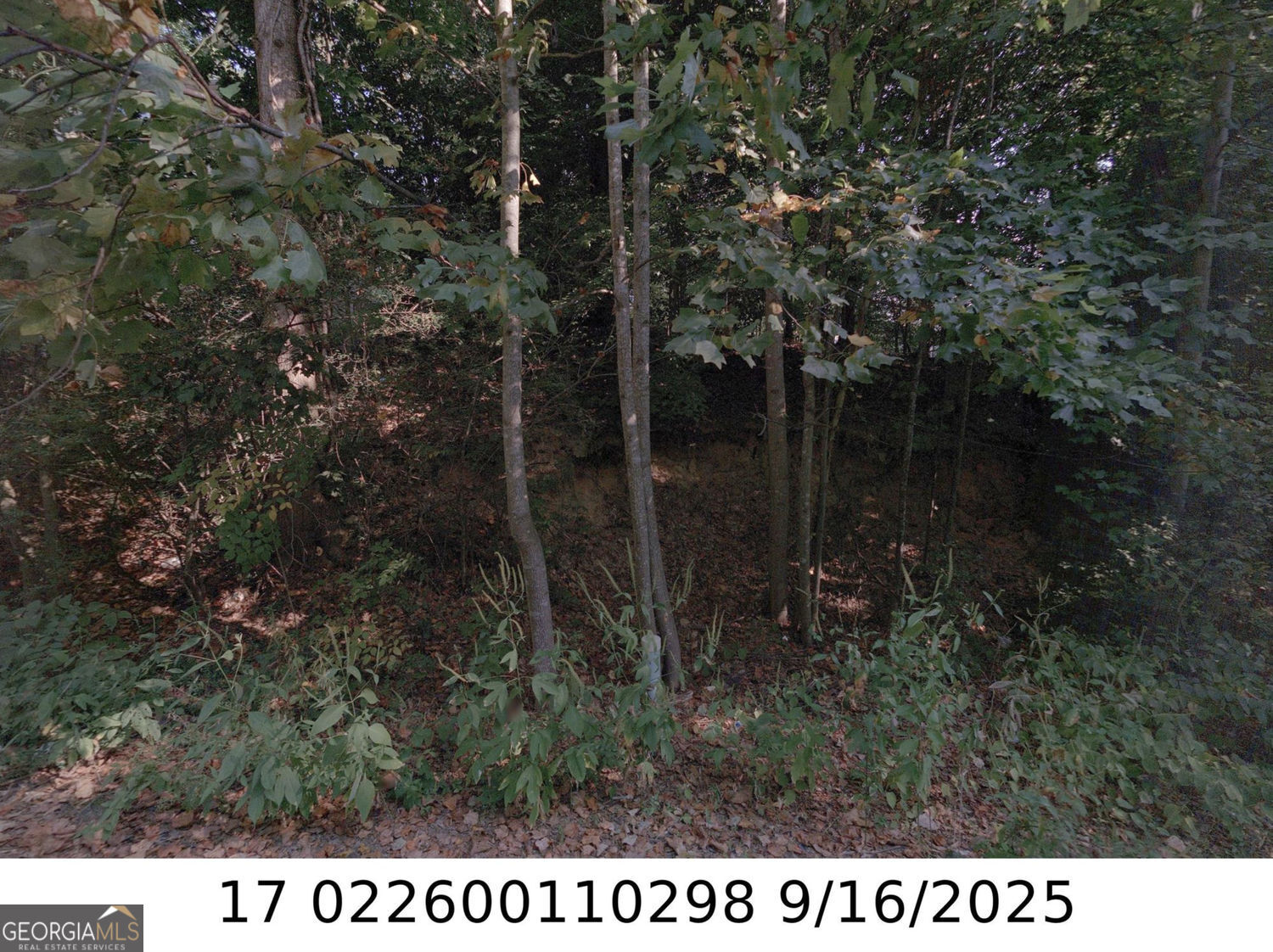 0 Newman Place Property Photo 2