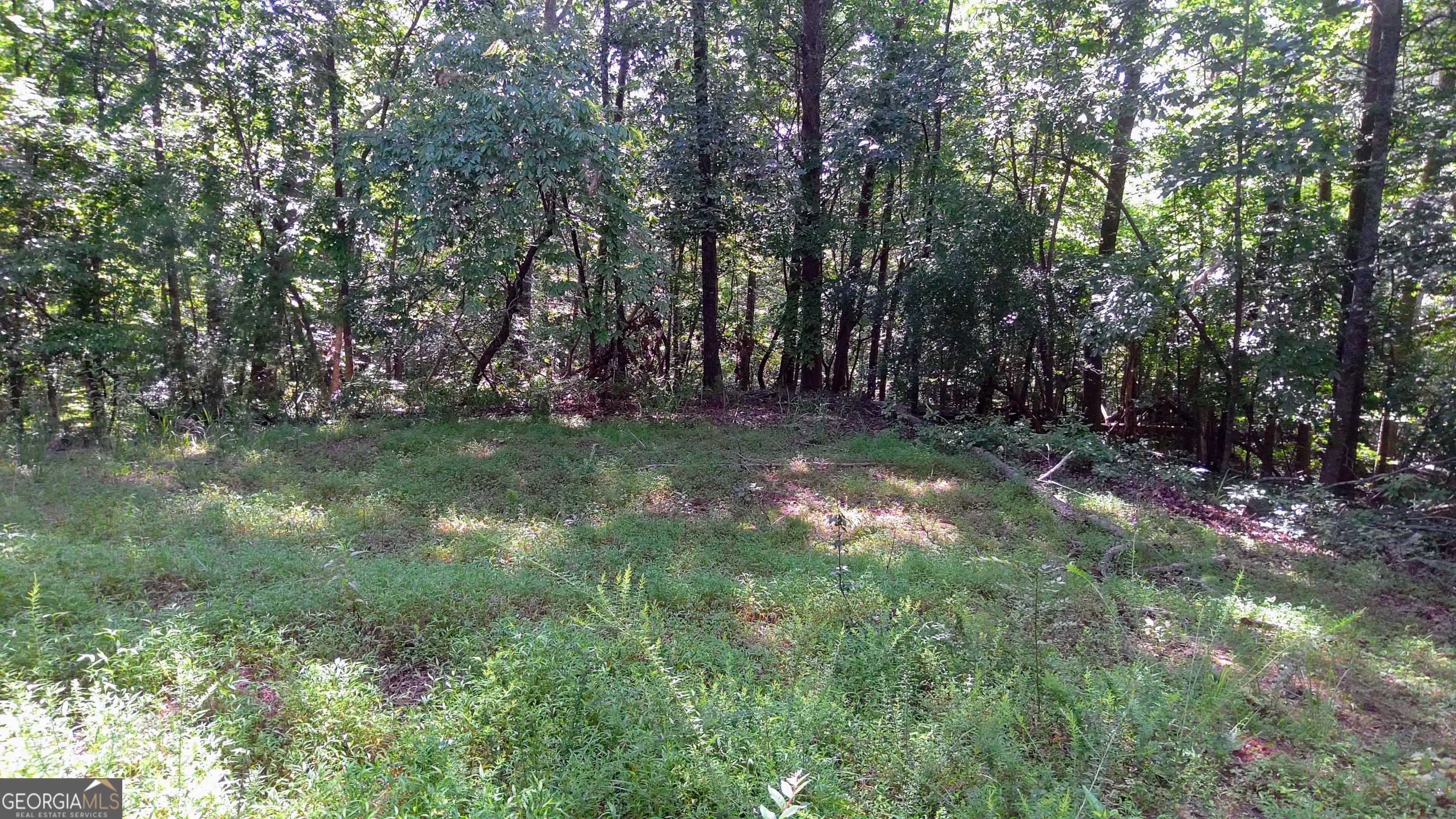 105 Rusty G Place Property Photo 6