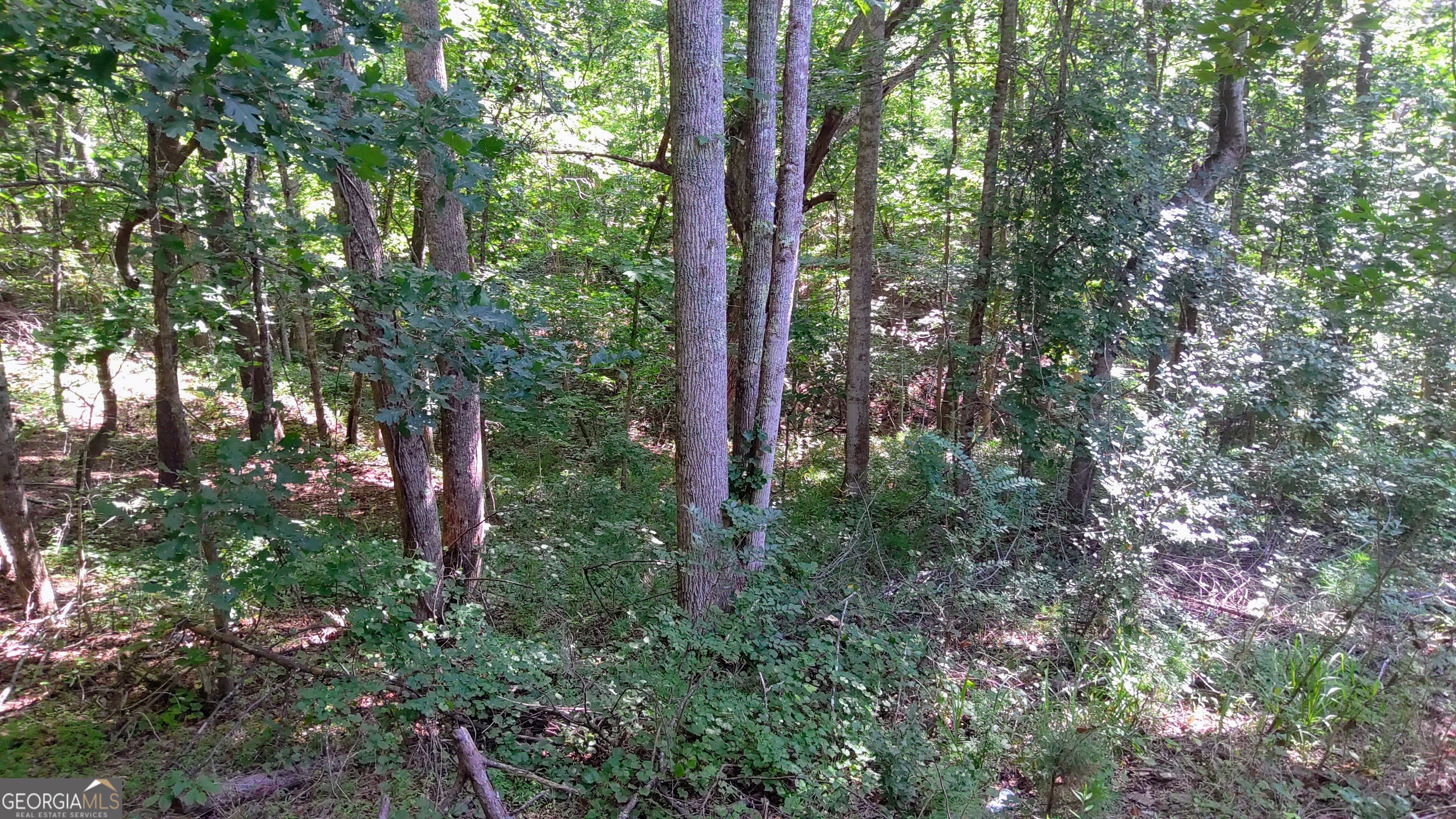 105 Rusty G Place Property Photo 8