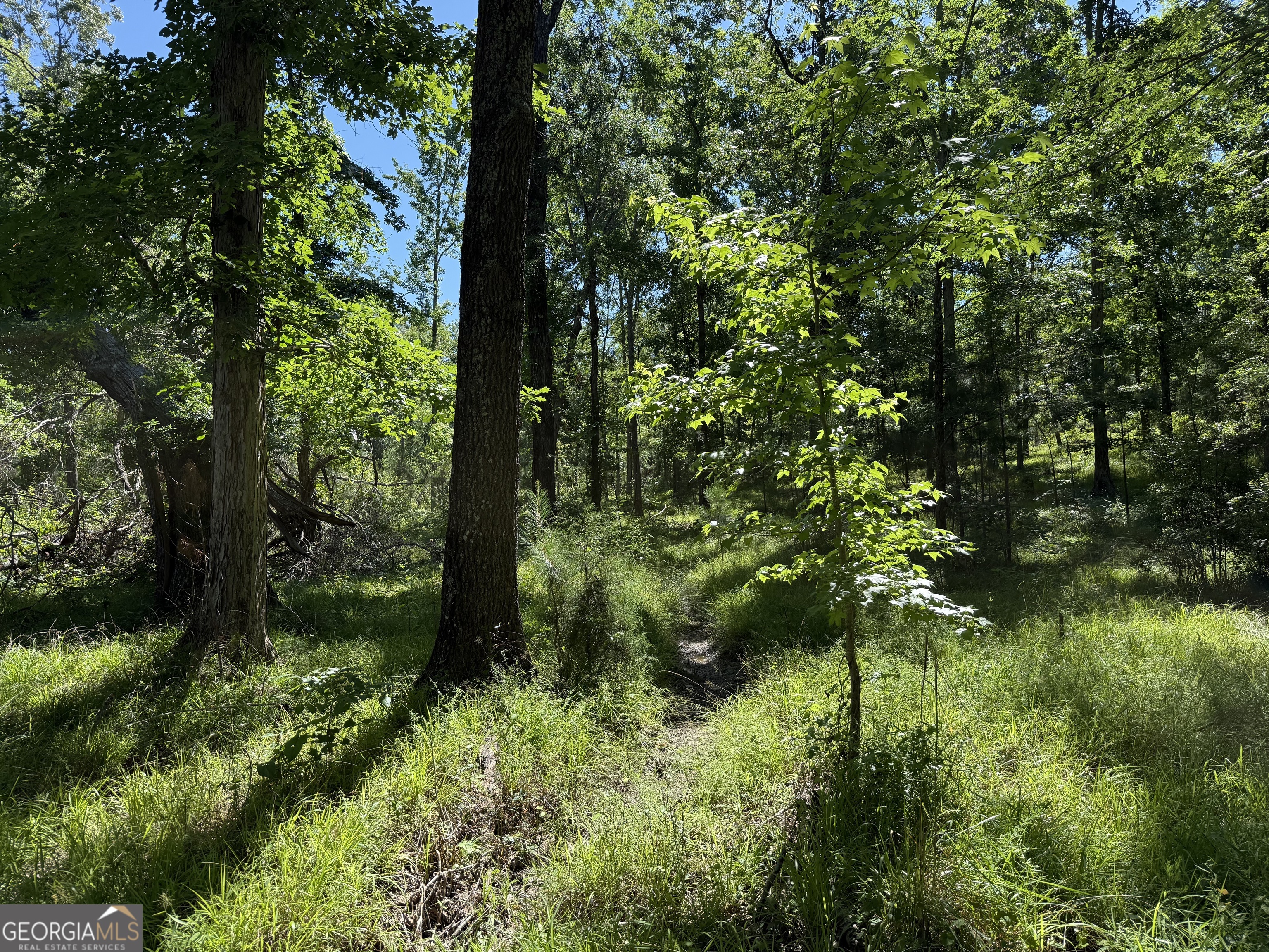4979 Augusta Highway Property Photo 1