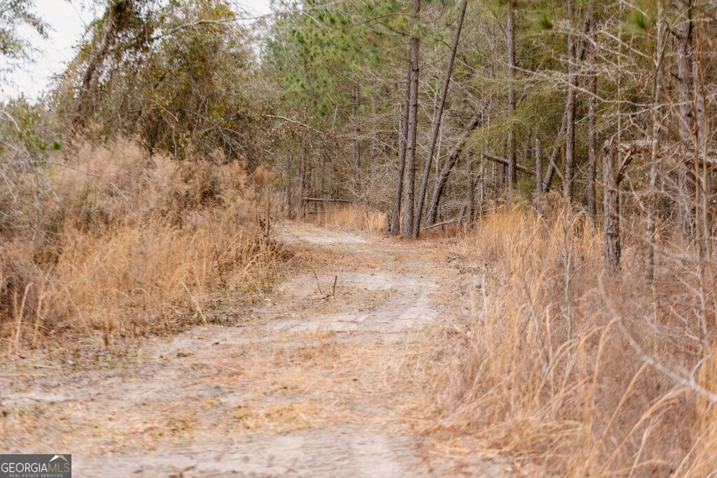 0 Bunn Store Road # 2 Property Photo 1