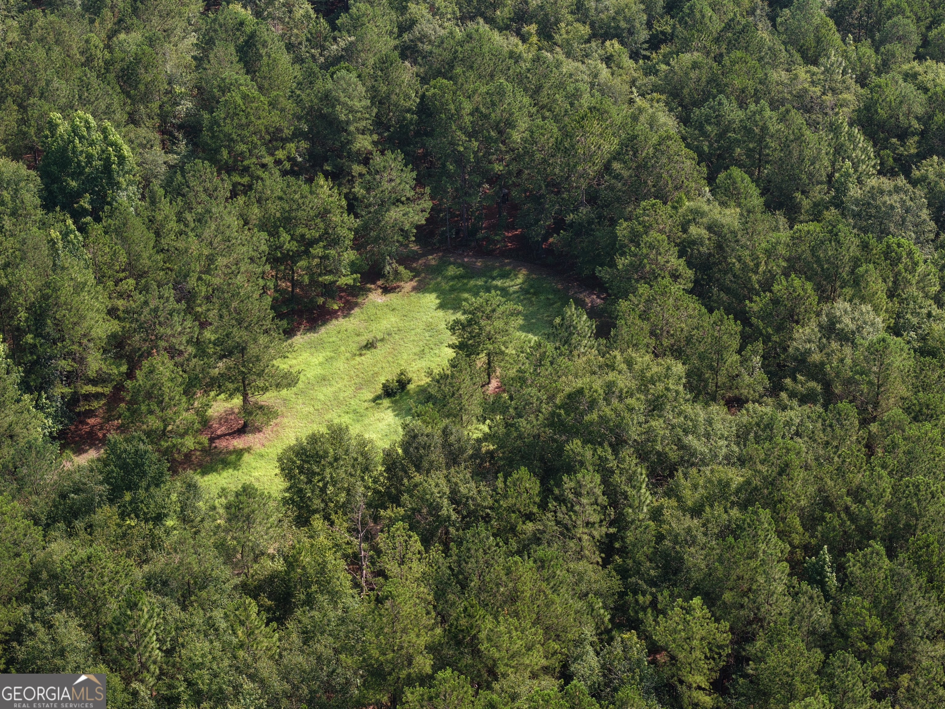 0 Sassertown Road Property Photo 1