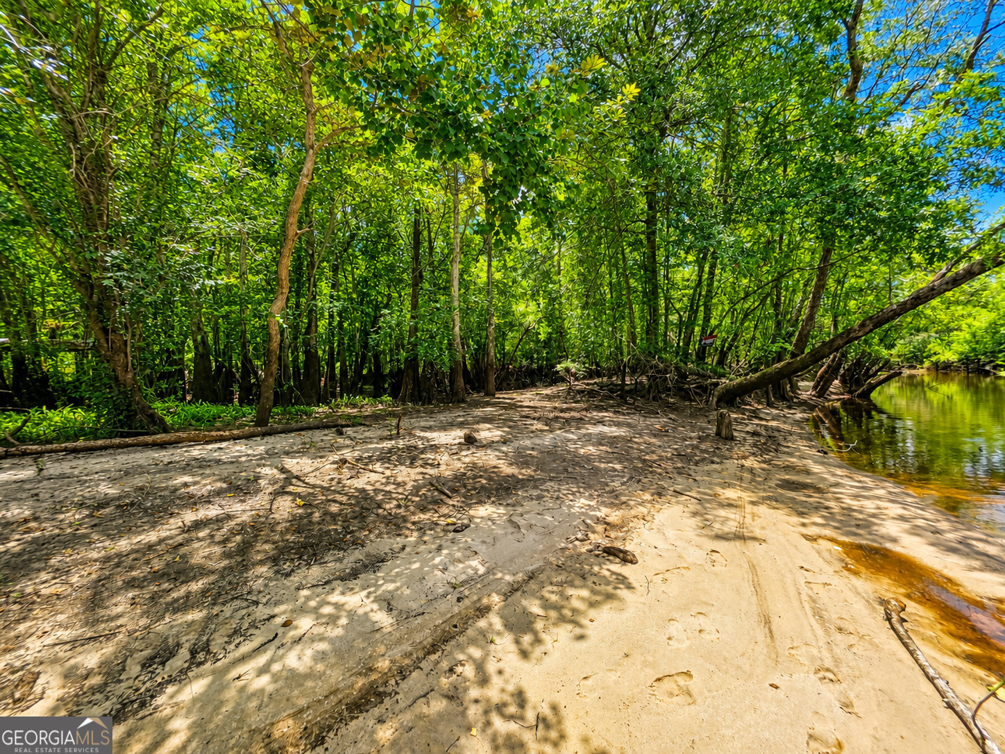 0 Lewis Landing Property Photo 1