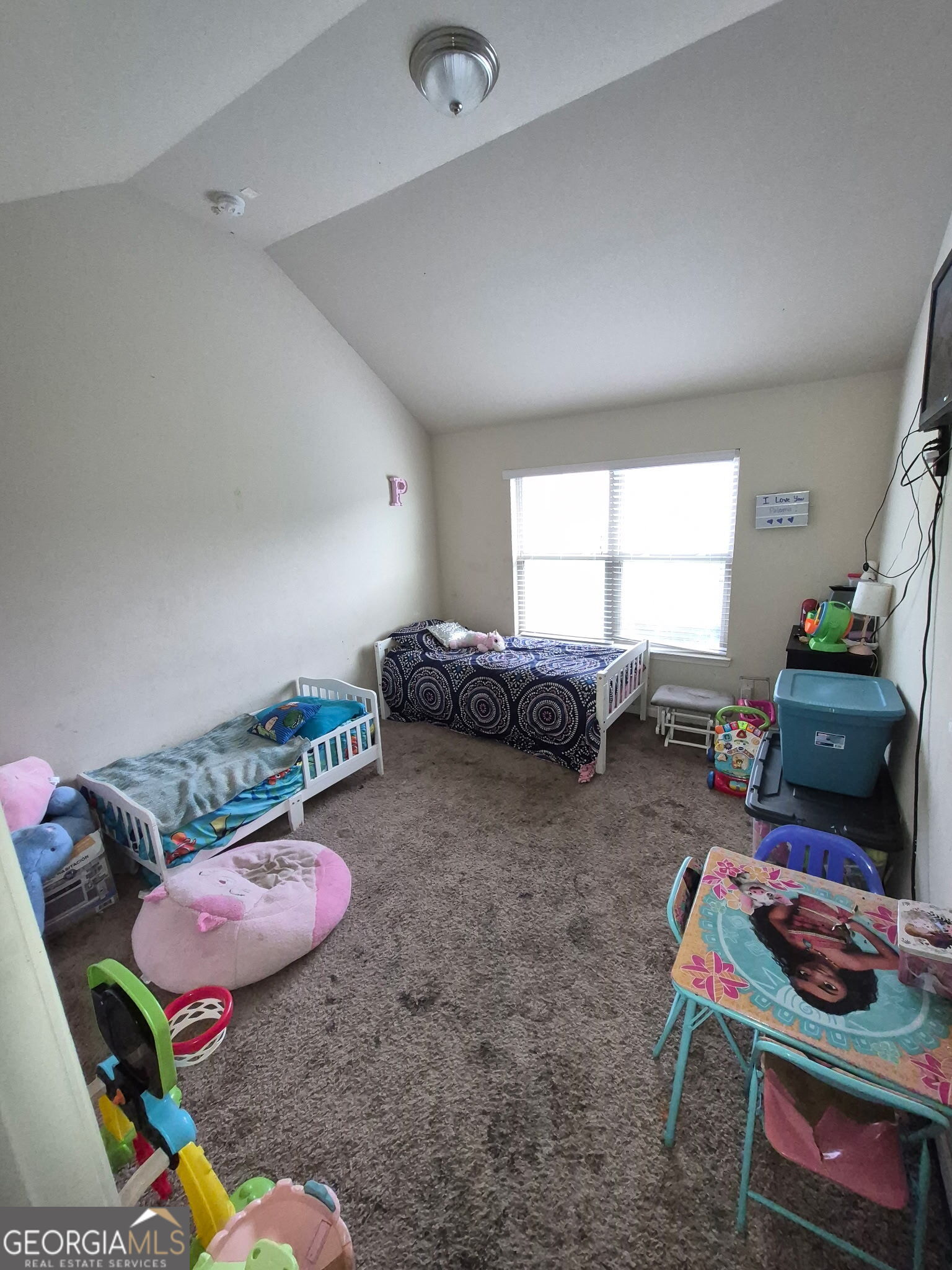 12173 Centerra Drive Property Photo 43