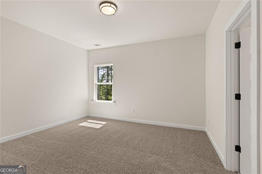 5195 Reece Run Property Photo 43