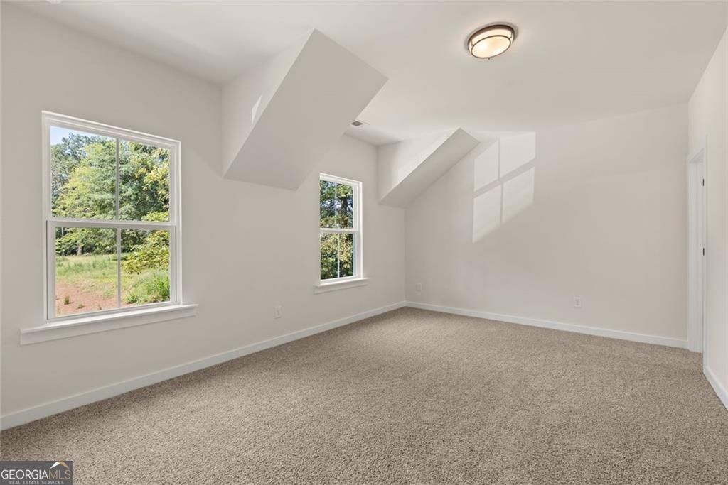 5195 Reece Run Property Photo 46