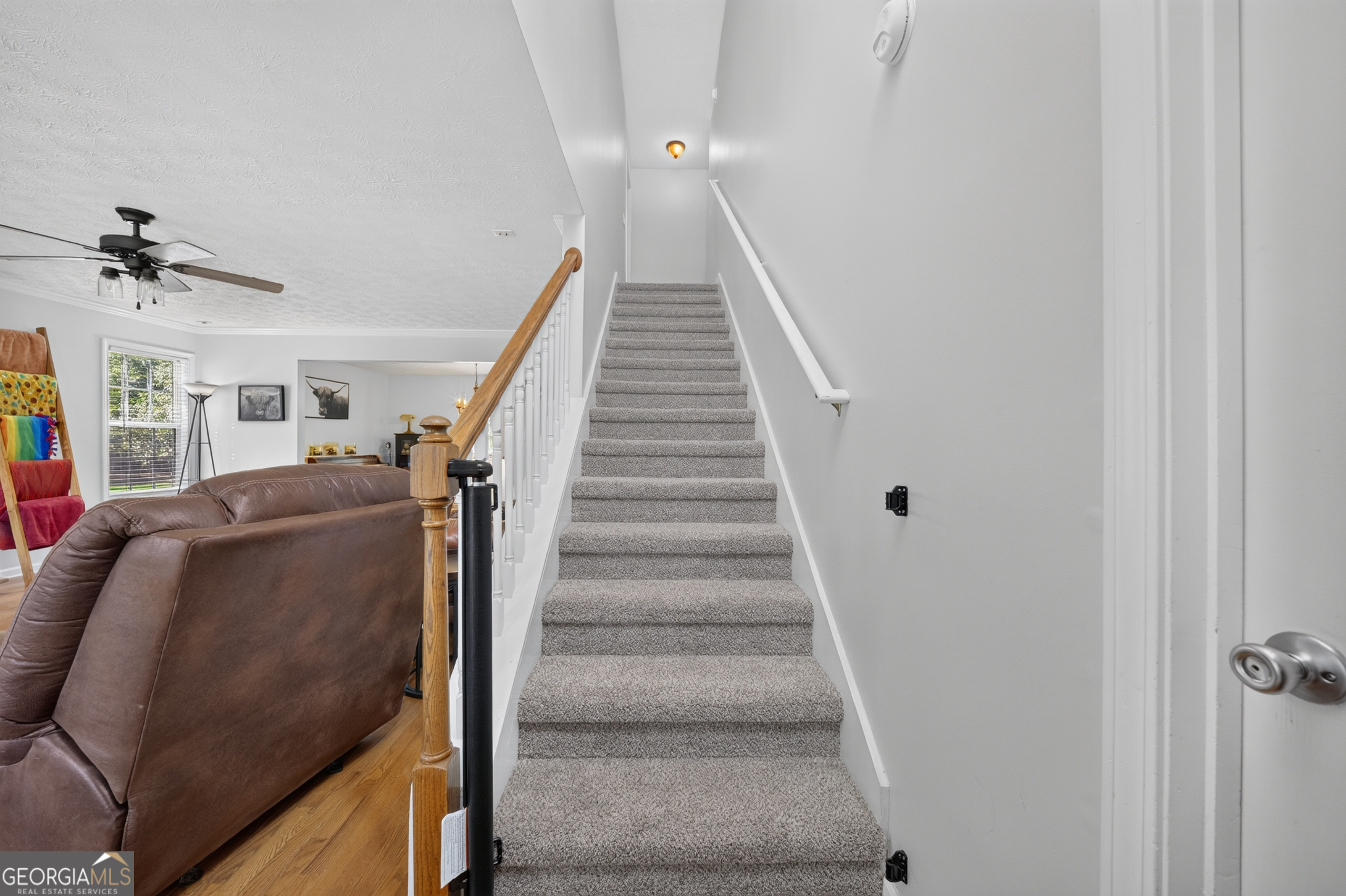 481 Lisa Circle Property Photo 46