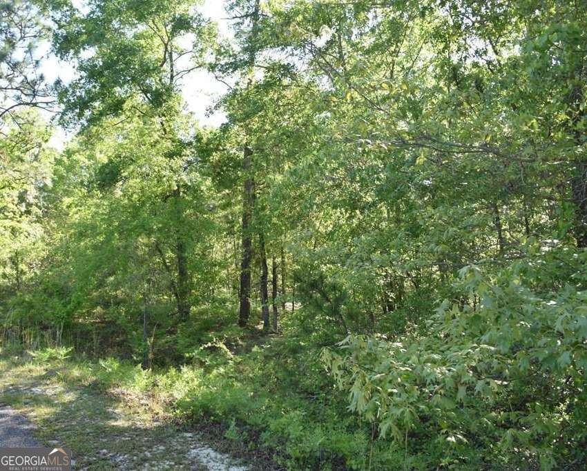 Lot 27 Chestnut Lane Property Photo 1