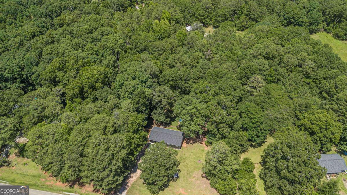 2888 Whitney Road Property Photo 46