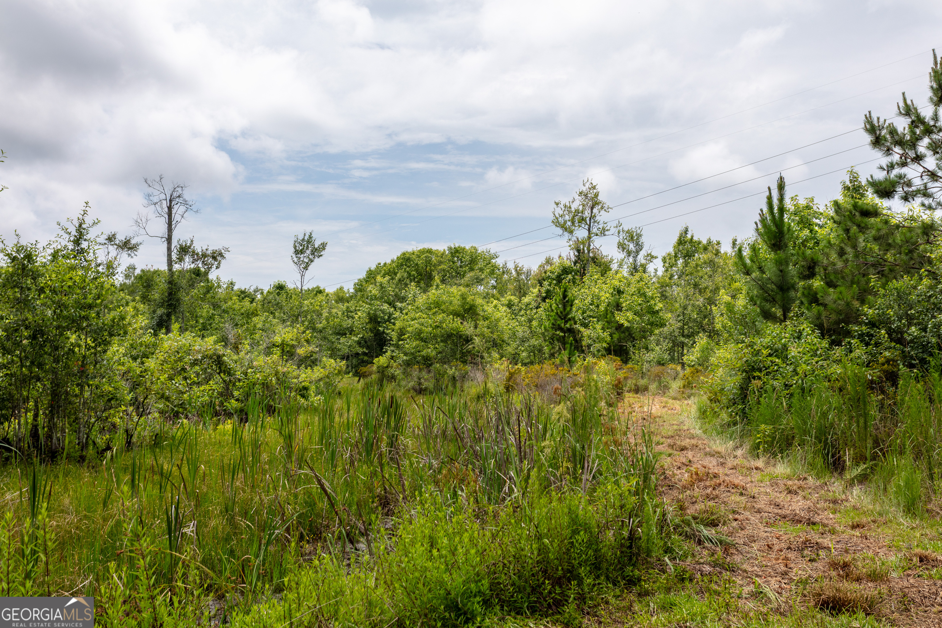 276 Mclauglin Road Property Photo 59
